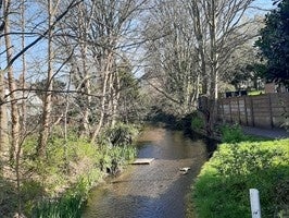 Room Wandle Bank in Greater London