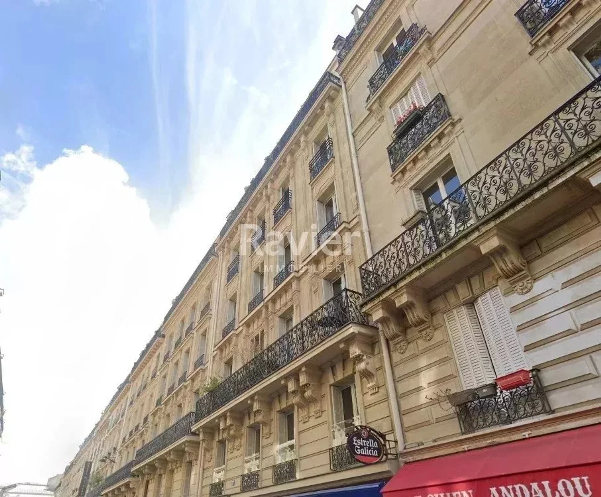 Flat Rue Littré in Paris