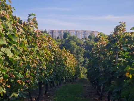 Wohnung Sebald-Waldstein-Straße in Zeitz