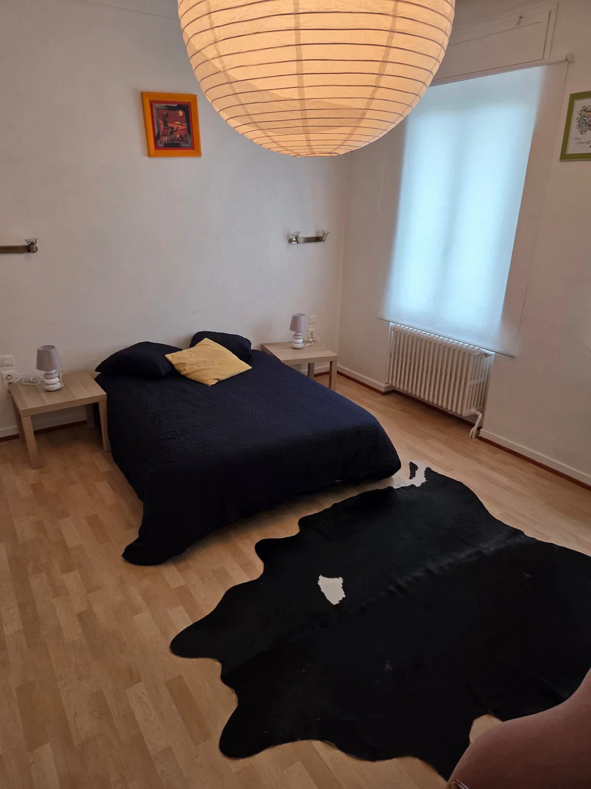 Room Rue du Chanoine Speich in Strasbourg