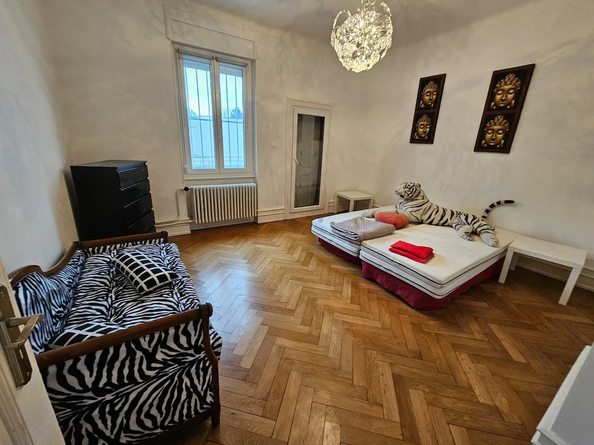 Room Rue du Chanoine Speich in Strasbourg