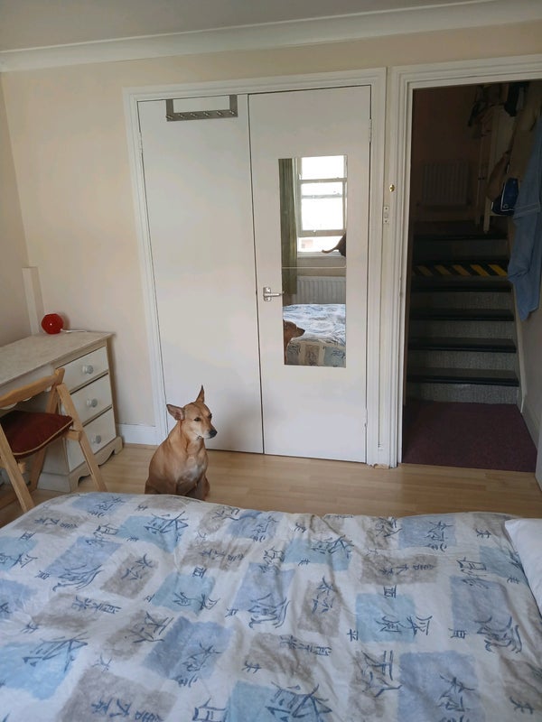 Room Grittleton Road in City of Westminster