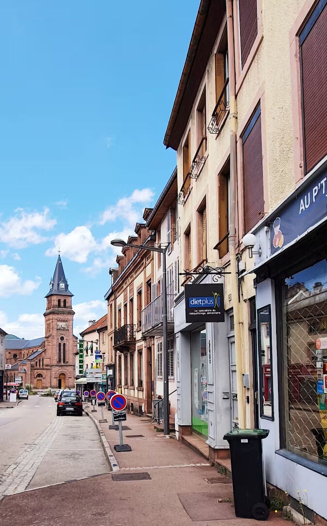 Flat Rue d'Alsace in Saint-Dié-des-Vosges