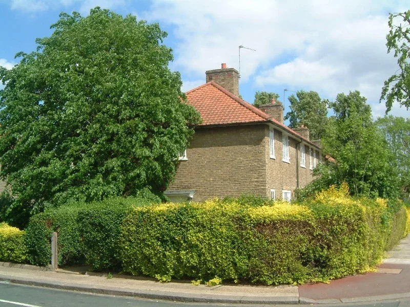 Room Milfoil Street in Greater London