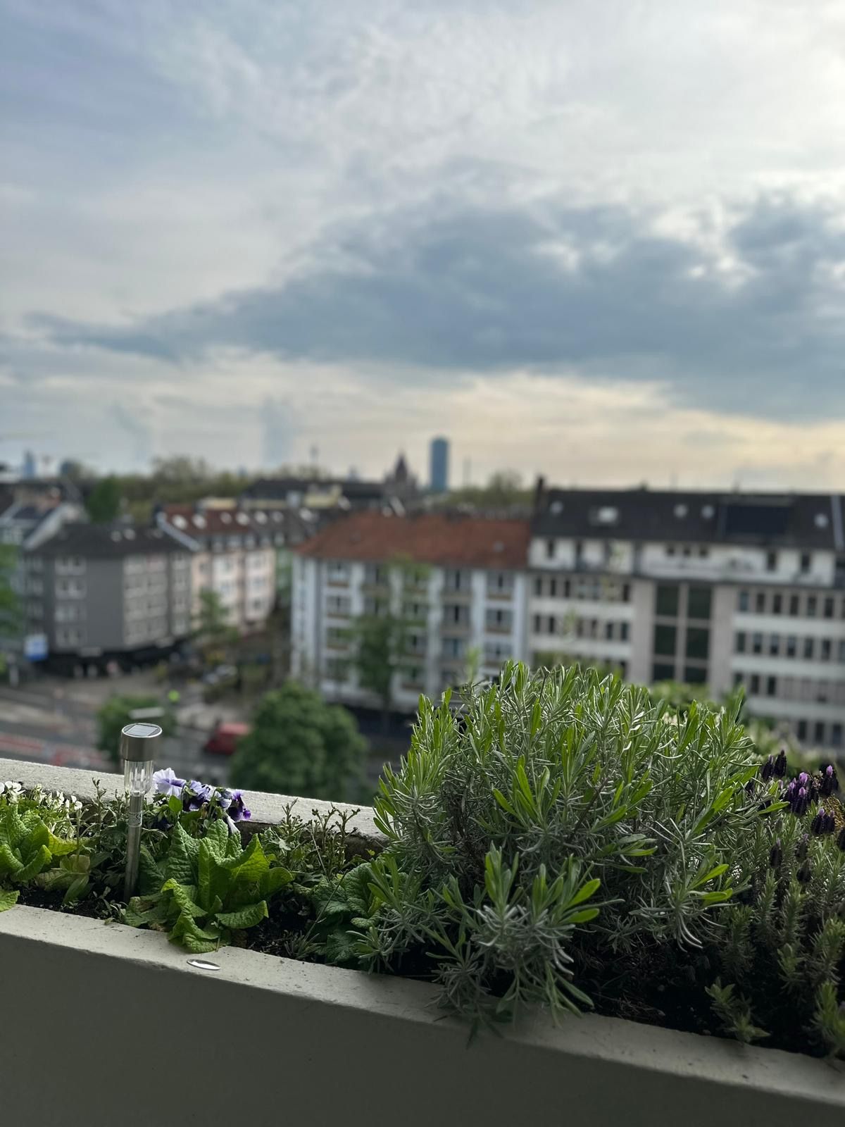 Wohnung Glockenstraße in Düsseldorf