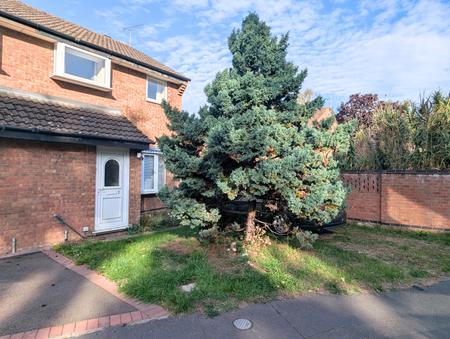 House Birchwood Avenue in Lincoln