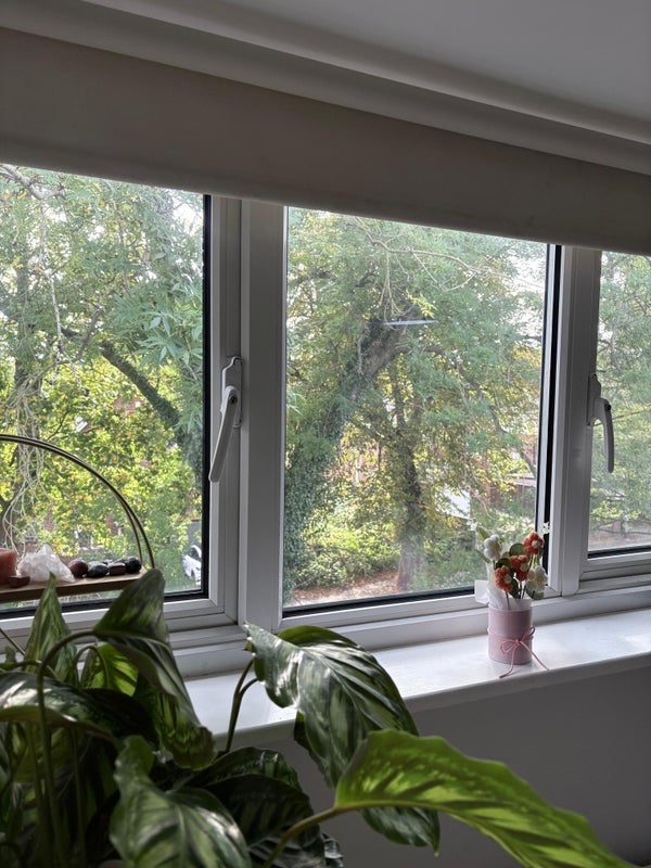 Room Belle Vue Avenue in Leeds