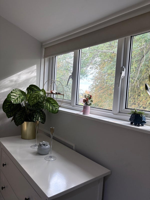 Room Belle Vue Avenue in Leeds