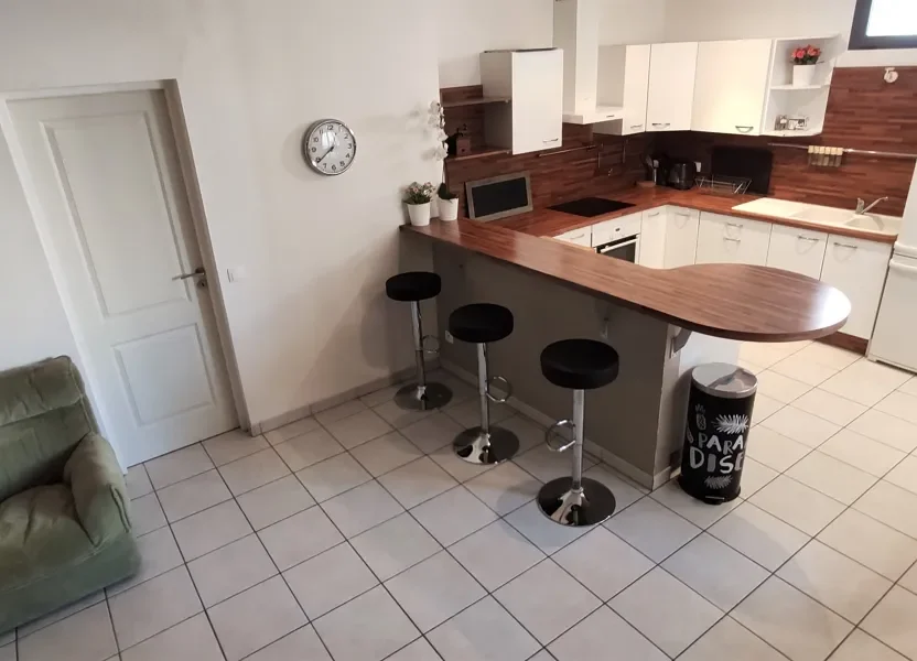 Appartement Avenue de Lodève à Montpellier