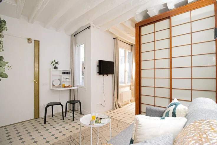 Flat Rue Pavée in Paris