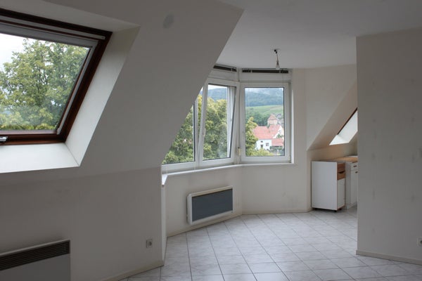 Flat Rue des Fleurs in Wissembourg