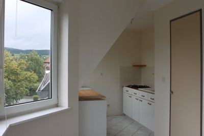 Flat Rue des Fleurs in Wissembourg