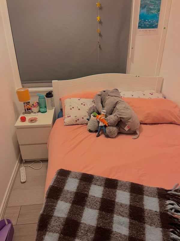 Room John Ruskin Street in Greater London