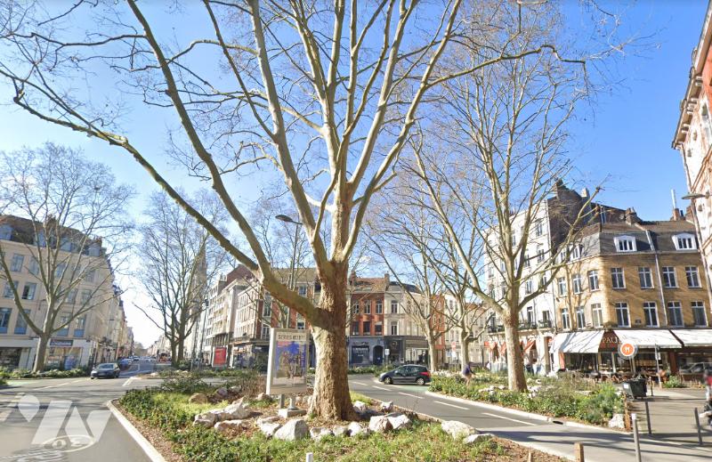 Appartement Rue Paul Duez à Lille