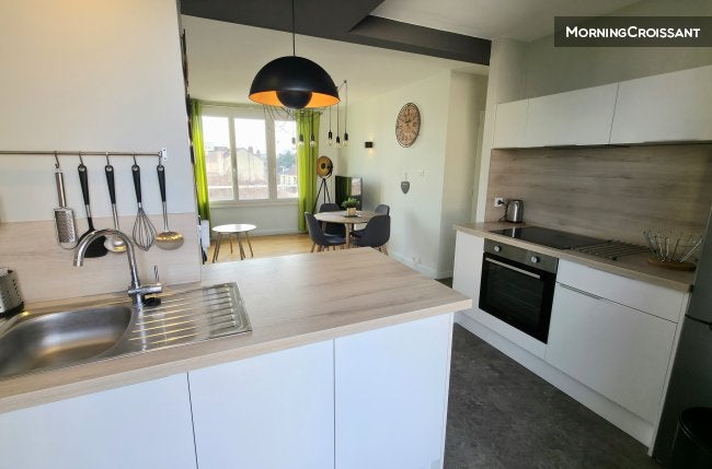 Appartement Rue du Professeur Joseph Renaut à Lyon