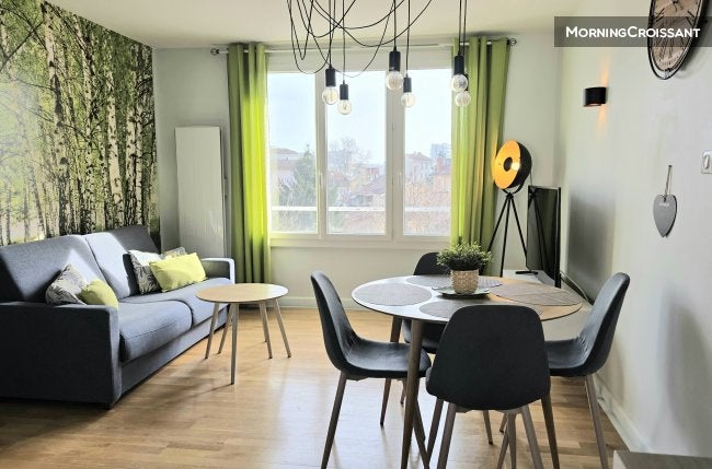 Flat Rue du Professeur Joseph Renaut in Lyon