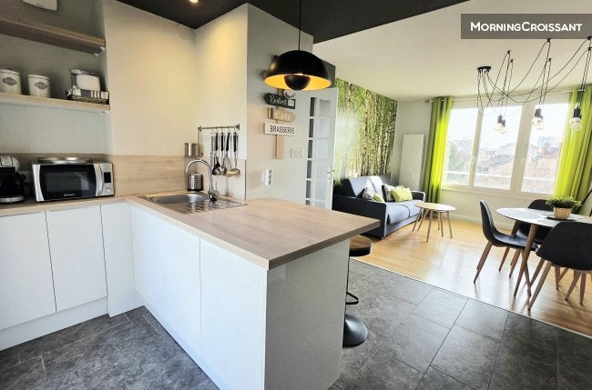 Appartement Rue du Professeur Joseph Renaut à Lyon
