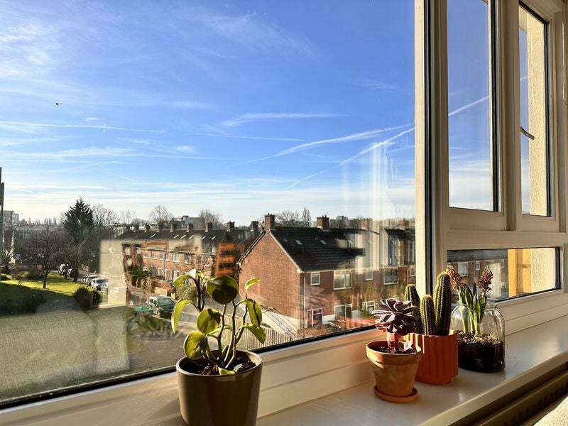 Appartement Cornelis Schuytlaan 13