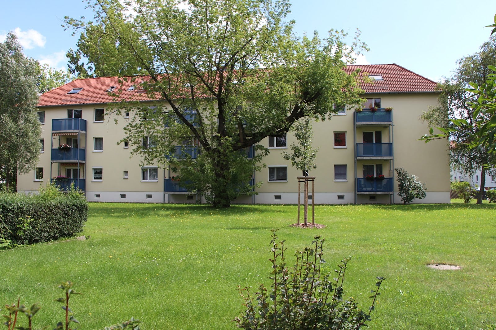 Wohnung Straße der Freundschaft in Riesa