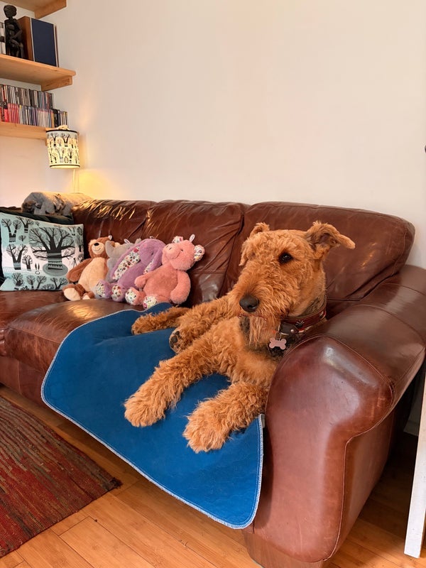 Room Beaconsfield Close in Greater London