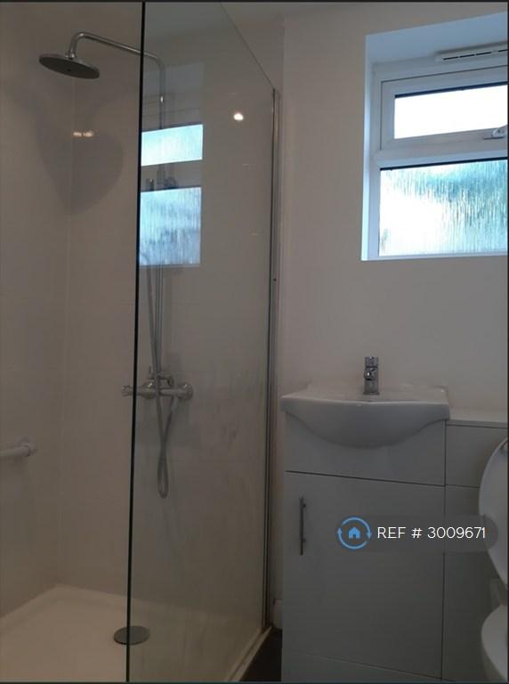 Room Sunrise Avenue in Chelmsford
