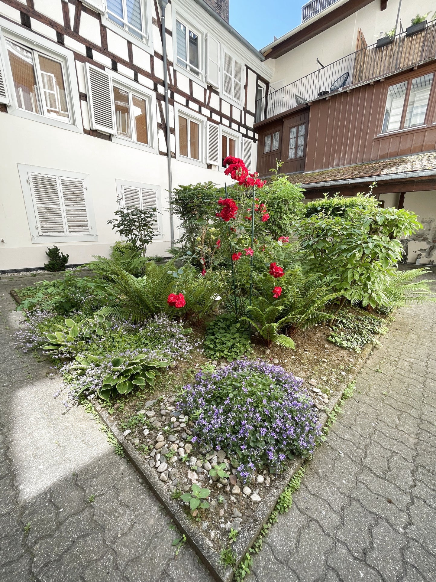 Flat Rue des Juifs in Strasbourg