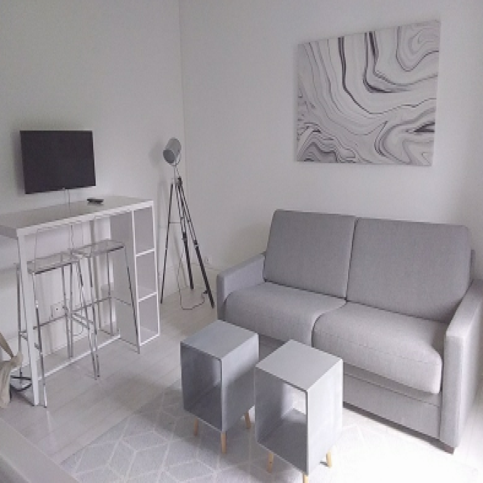 Appartement Route de Vienne à Lyon