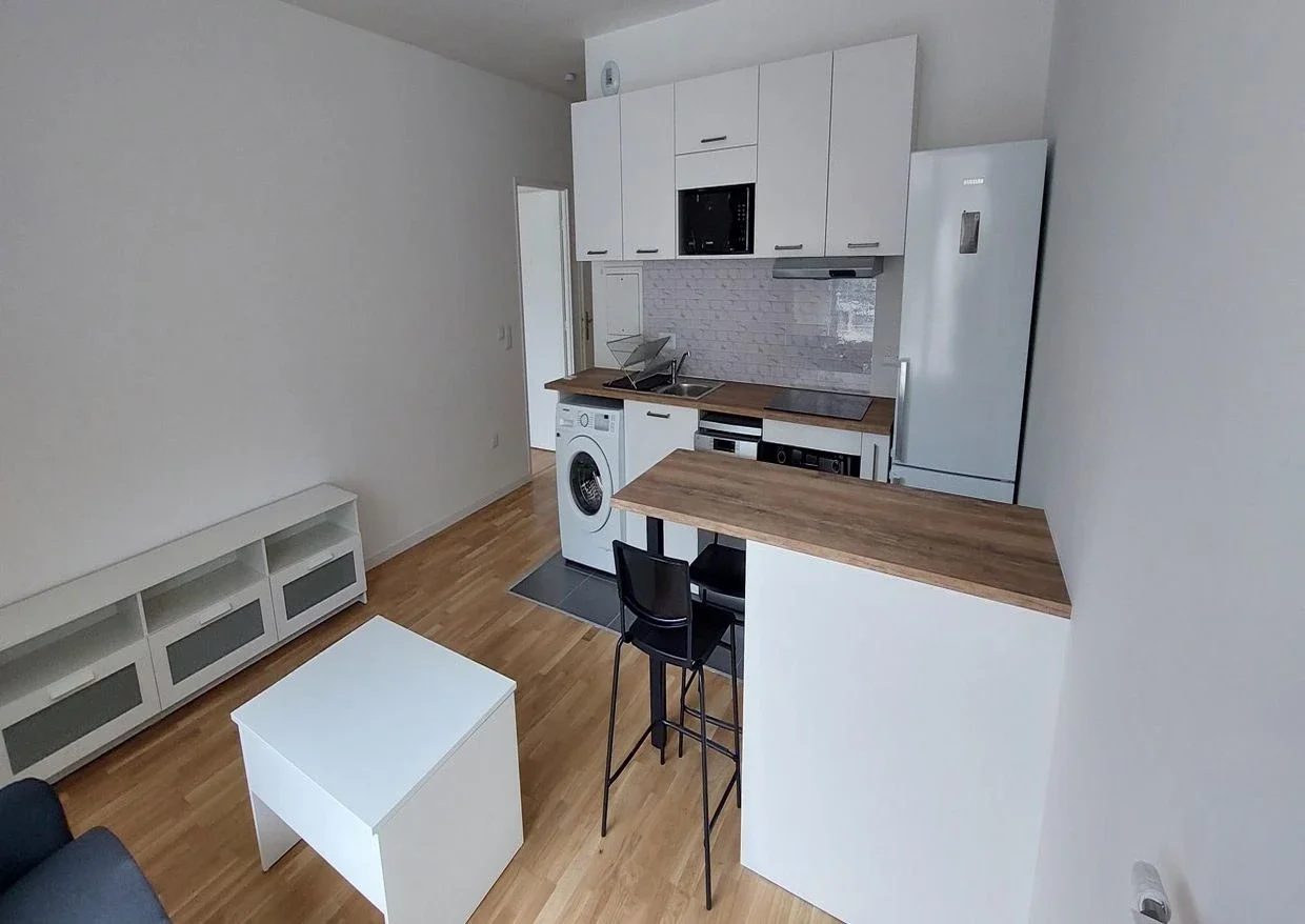Flat Avenue Pasteur in Issy-les-Moulineaux