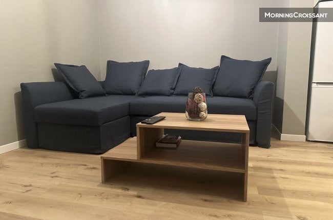 Appartement Avenue Rhin et Danube à Grenoble