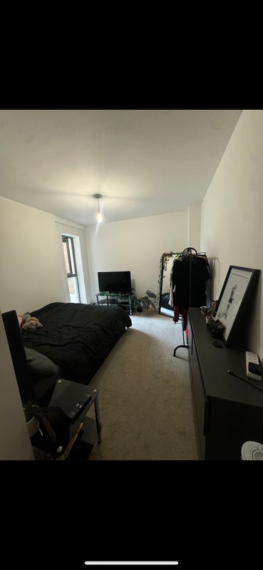 Room King Square Avenue in Bristol