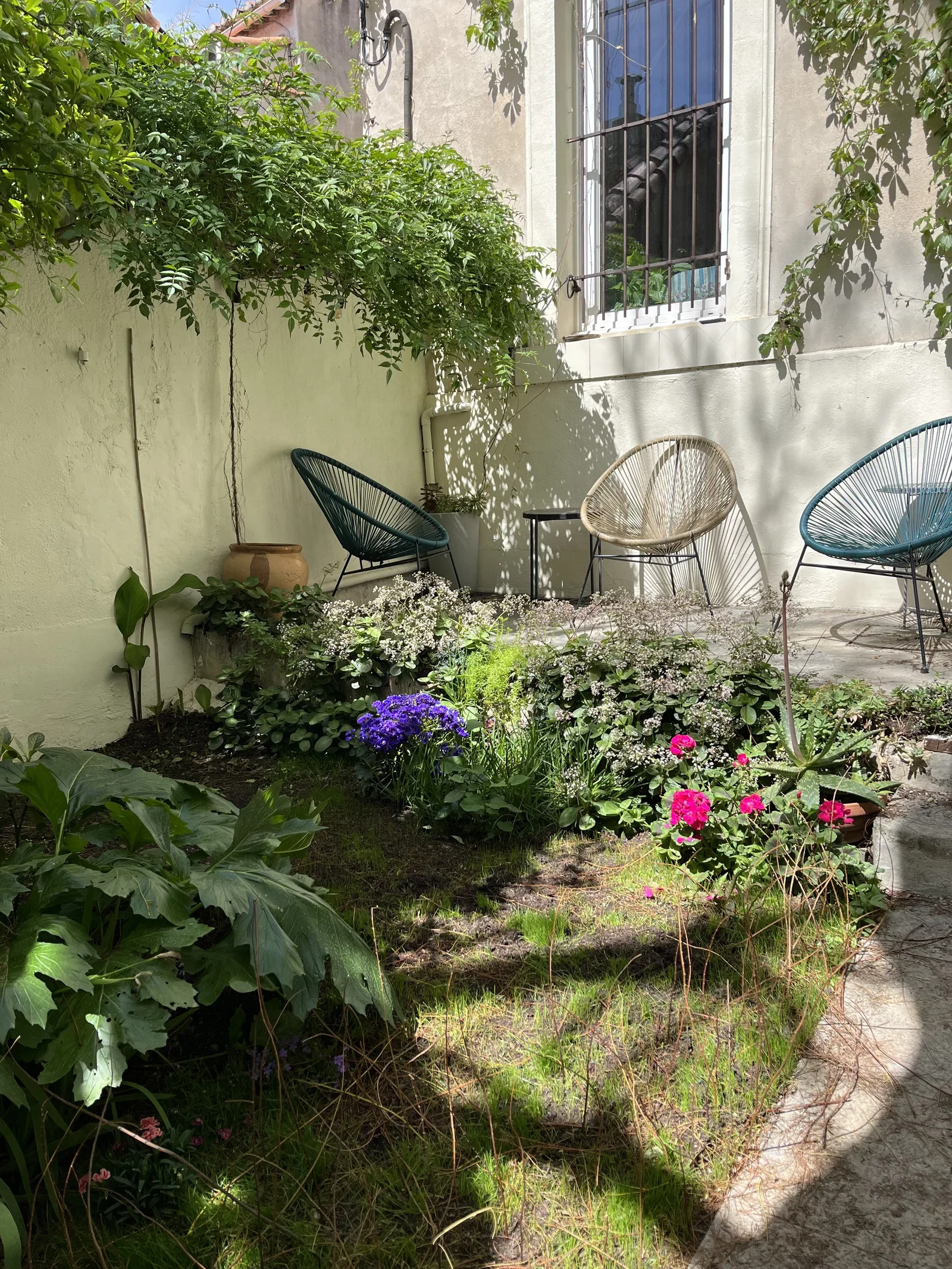 Room Rue Spinelly in Marseille