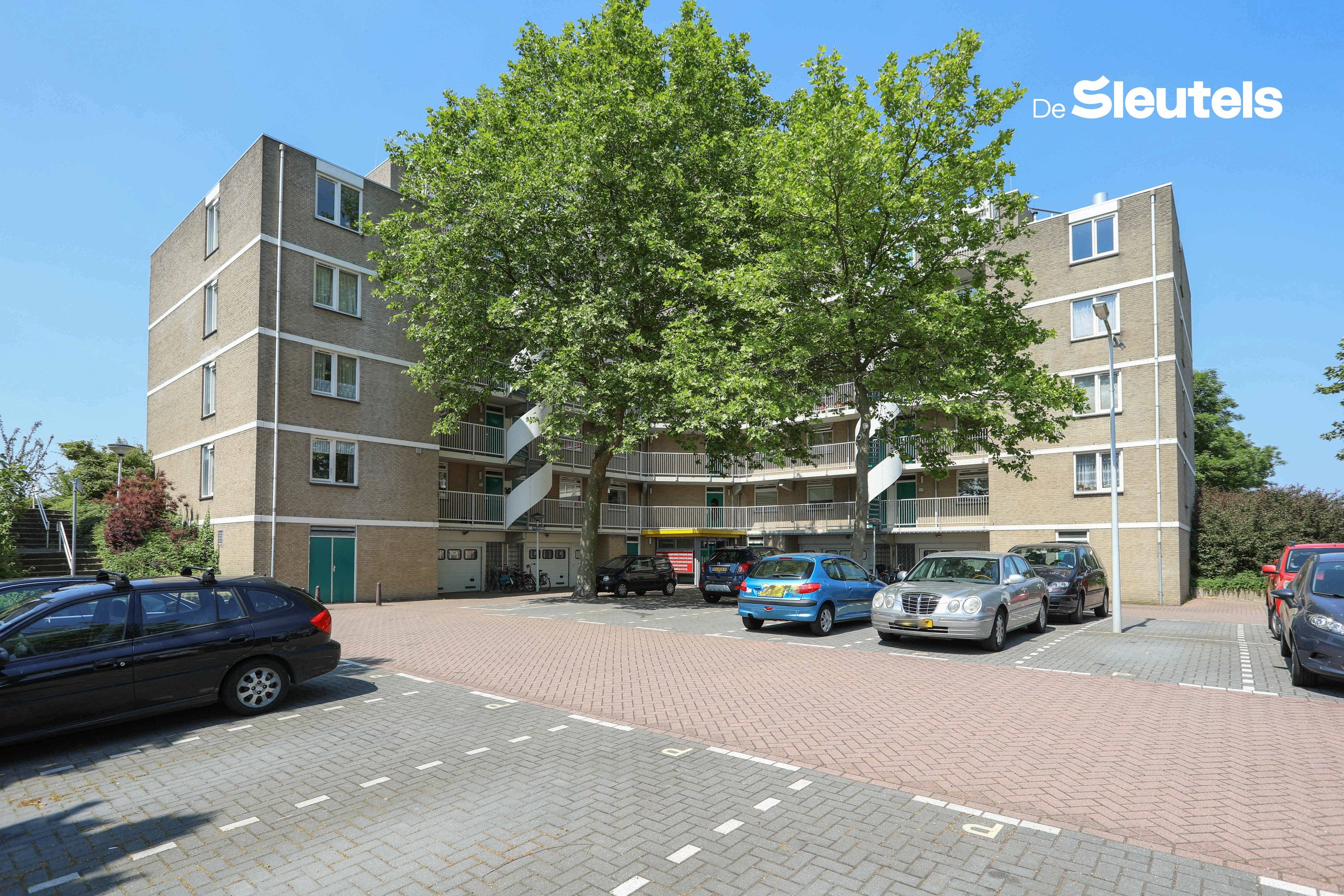 A rental house advertisment