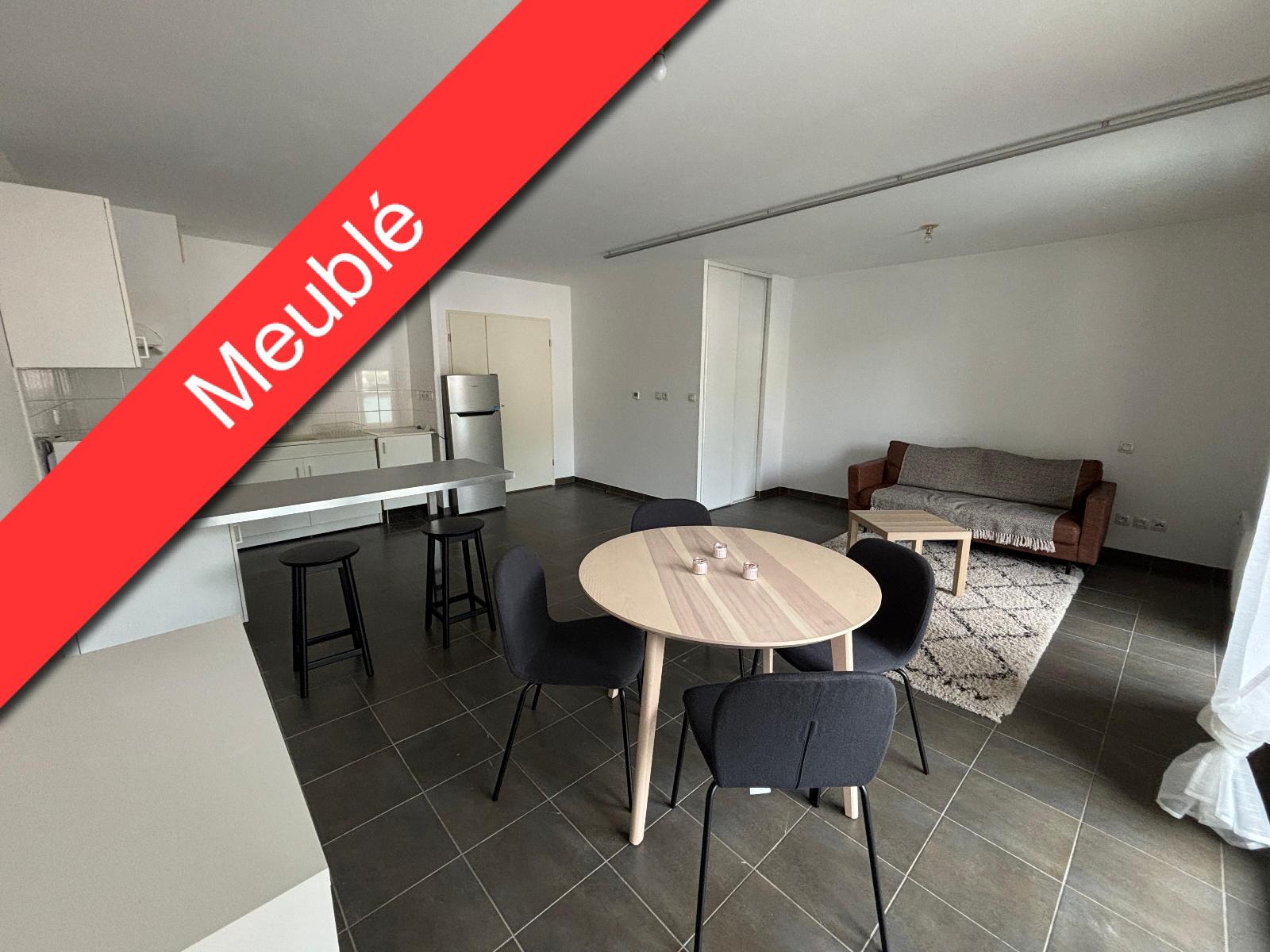 Appartement Rue Adolphe Thiers à Toulouse
