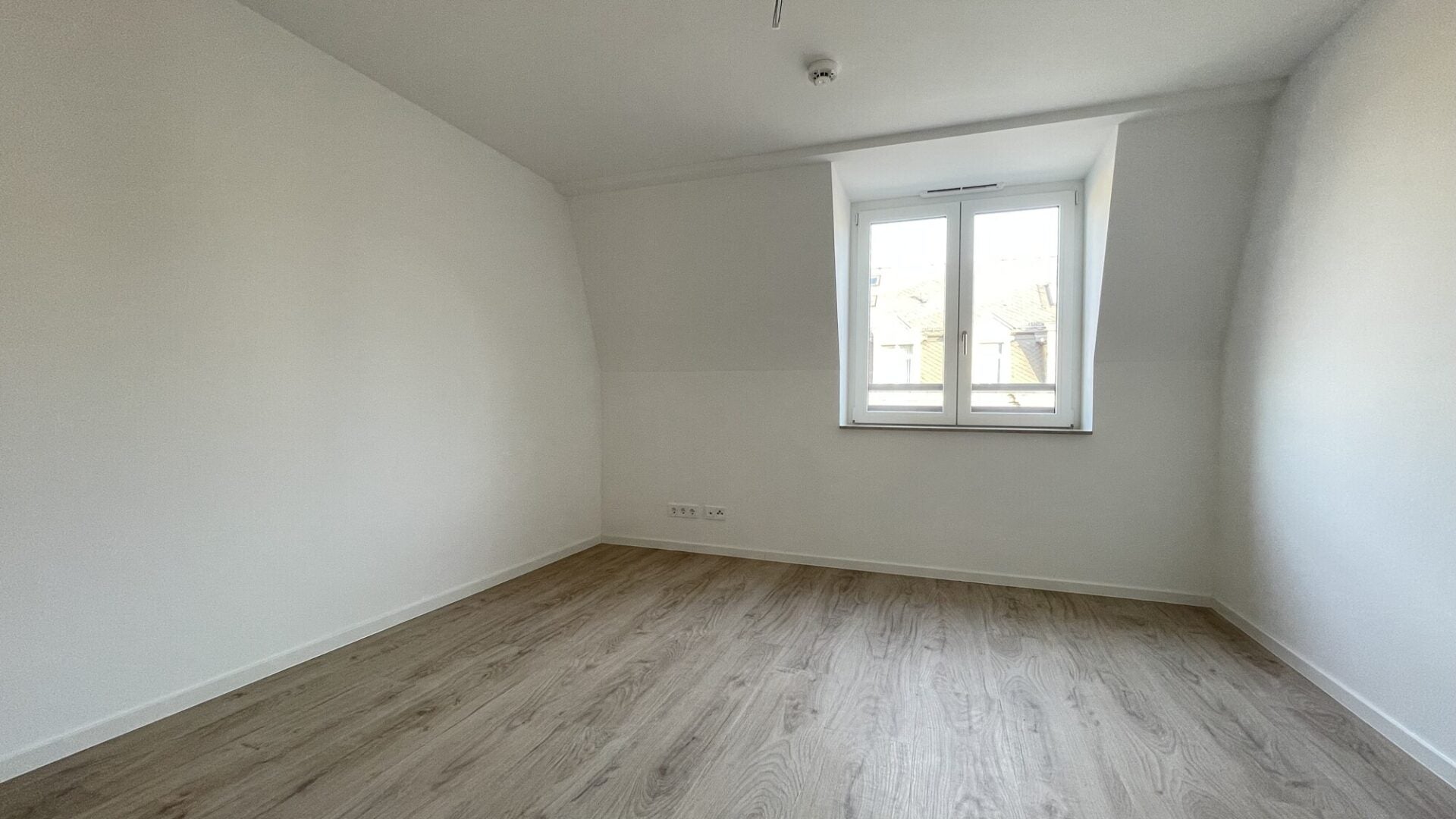 Wohnung Friedensstraße in Dresden