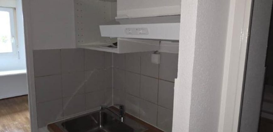 Appartement Cours Émile Zola à Villeurbanne