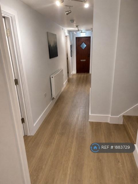 Room Antelope Avenue in Grays