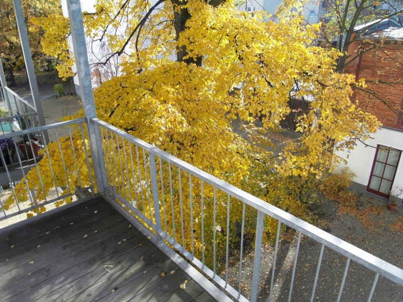 Wohnung Amalienstraße in Leipzig
