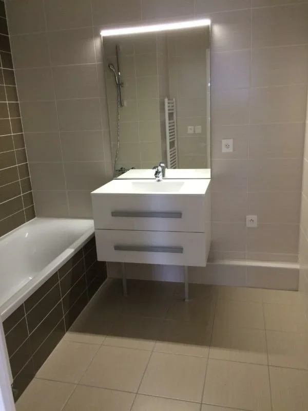 Appartement Rue Antoine Delandine à Lyon