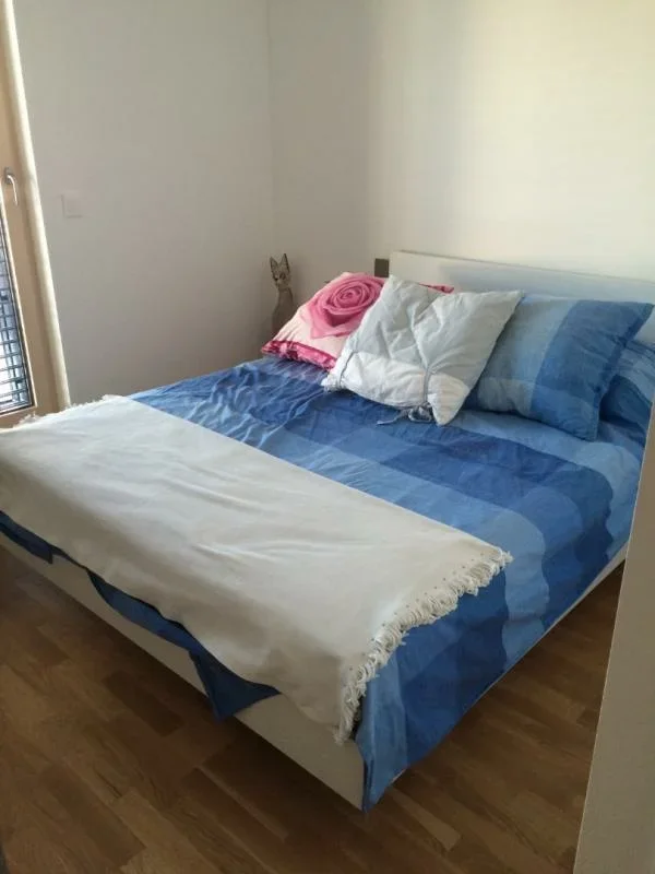 Appartement Rue Antoine Delandine à Lyon