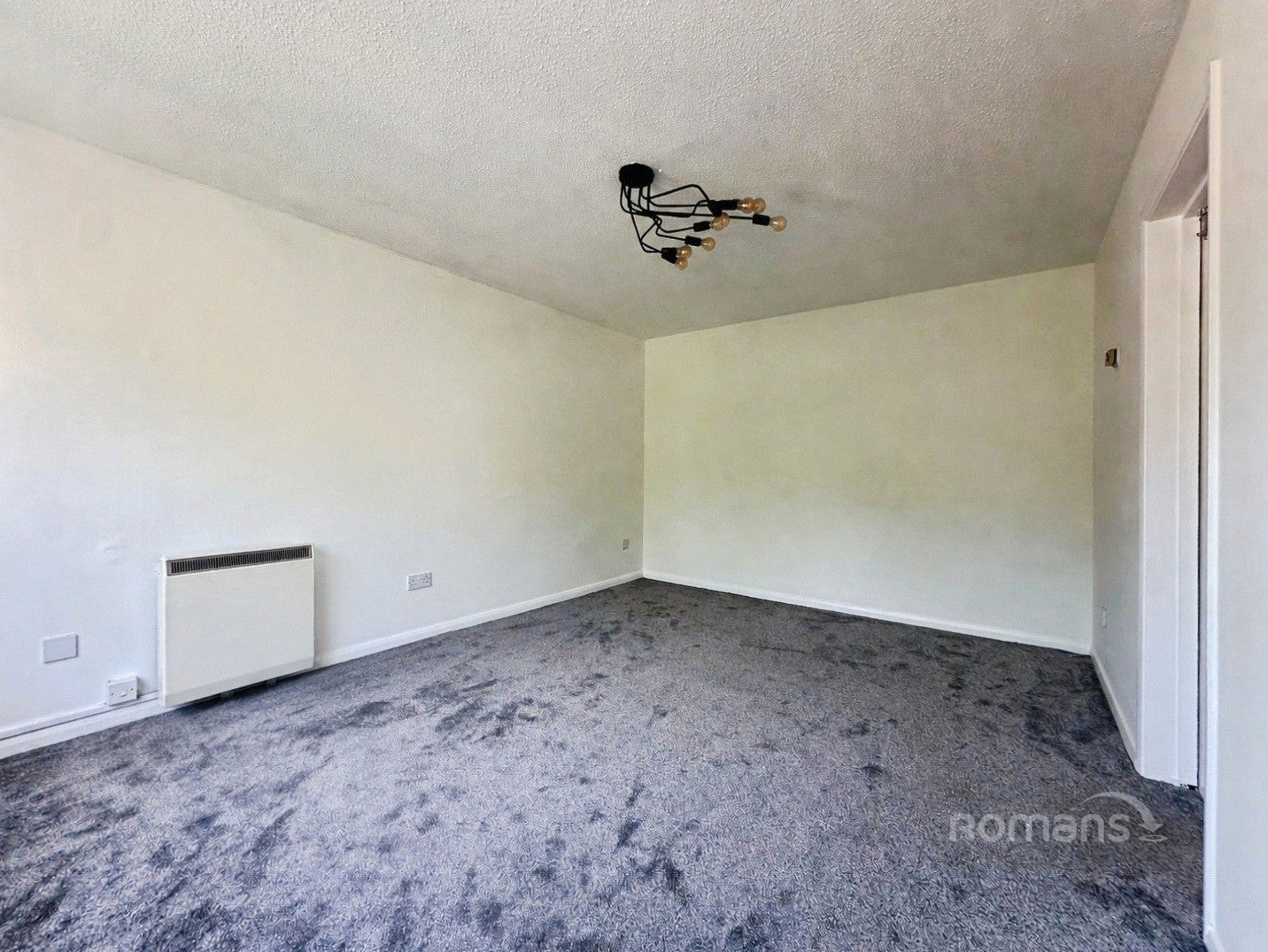 Flat Juniper in Bracknell