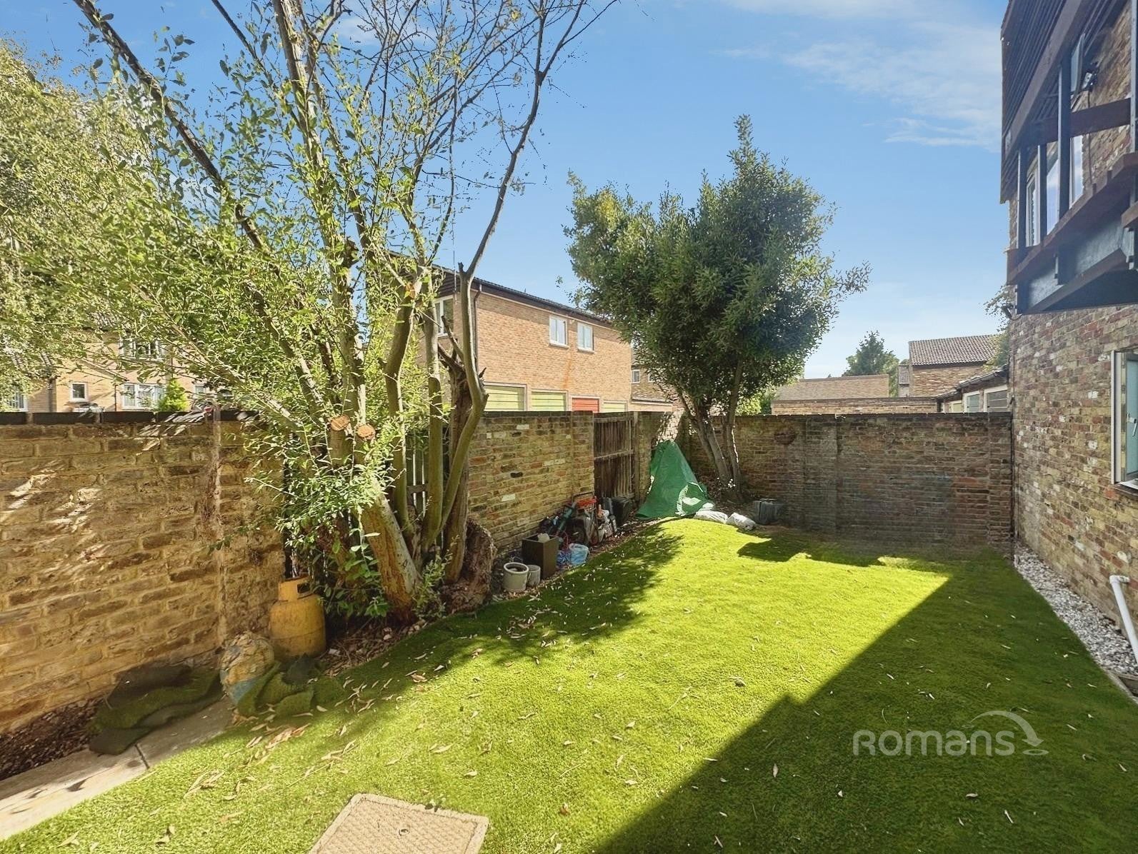 Flat Juniper in Bracknell