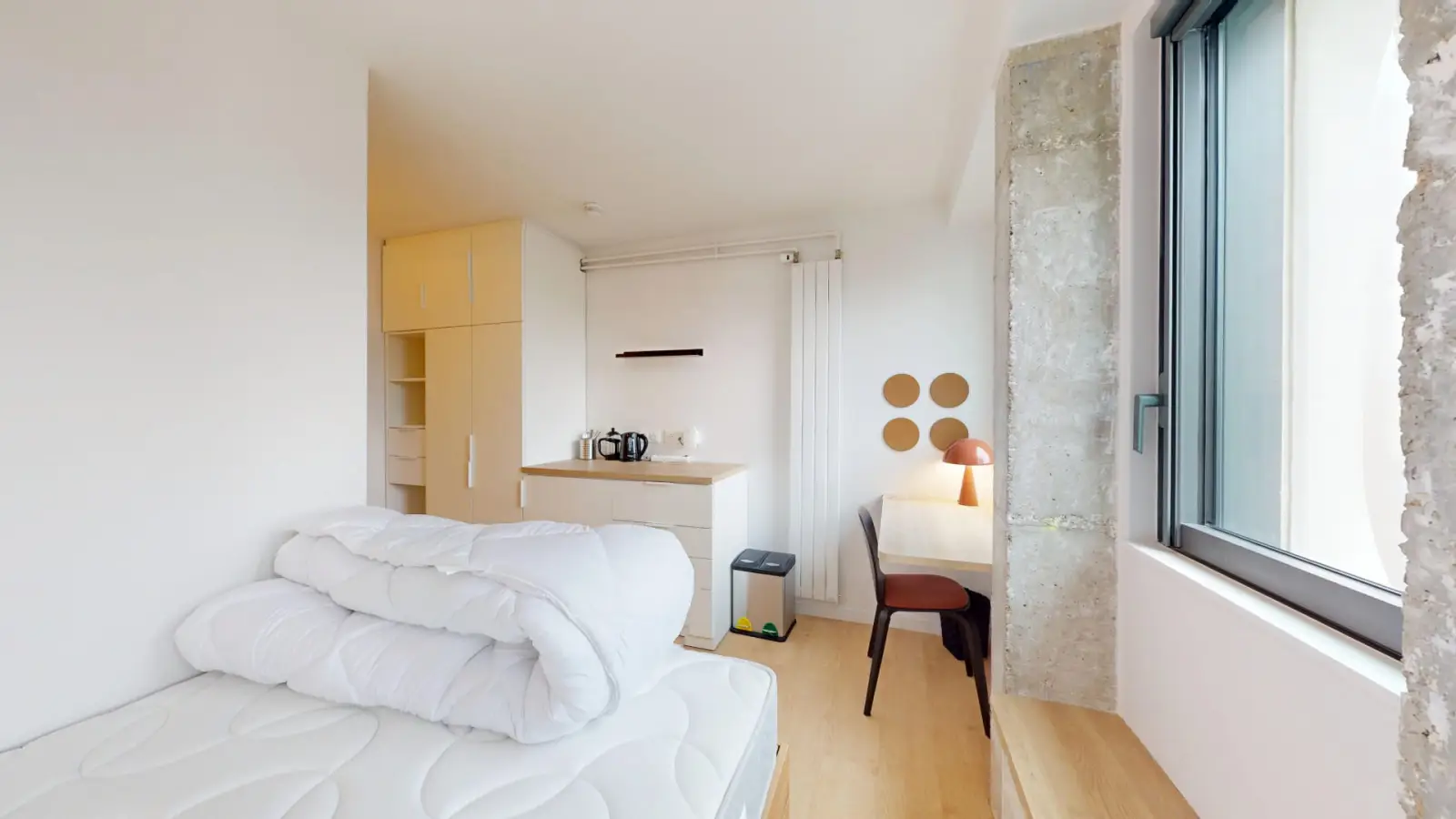 Room Rue Cambronne in Paris