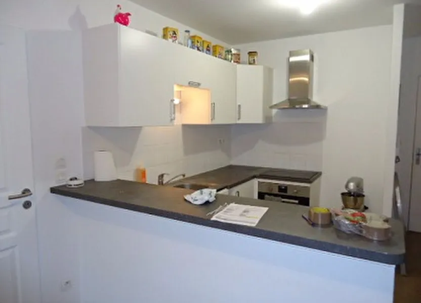 Appartement Avenue du Général Niessel à Tours