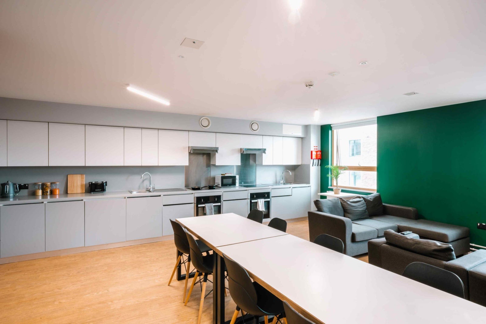 Flat Belgrave Road in Exeter
