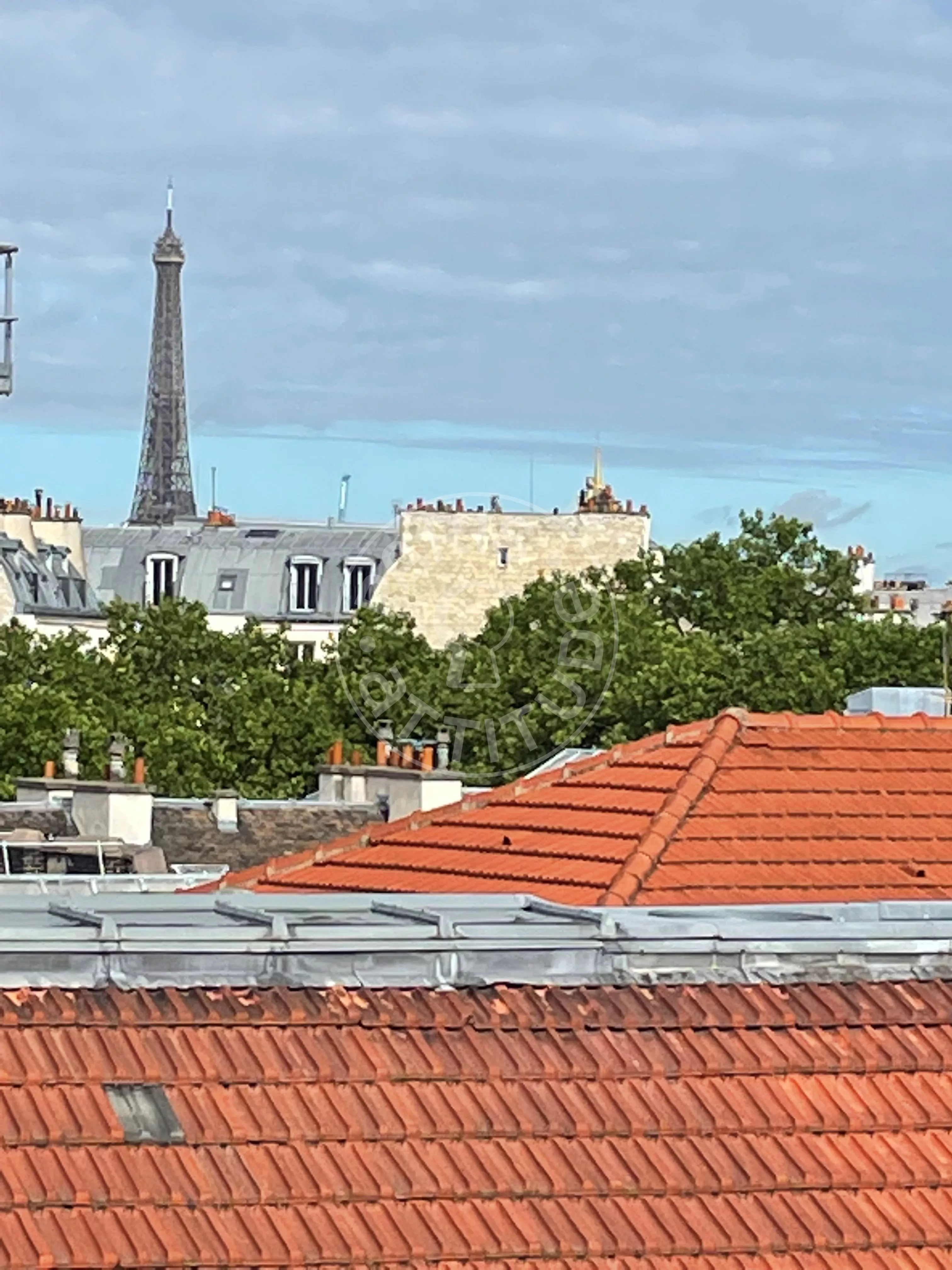 Appartement Rue Madame à Paris