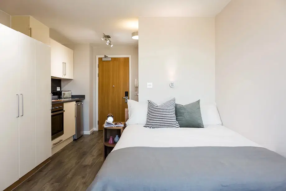 Room Great Suffolk Street in Greater London