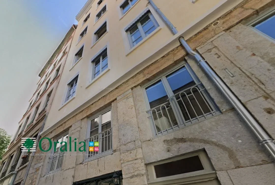 Flat Rue Bellièvre in Lyon