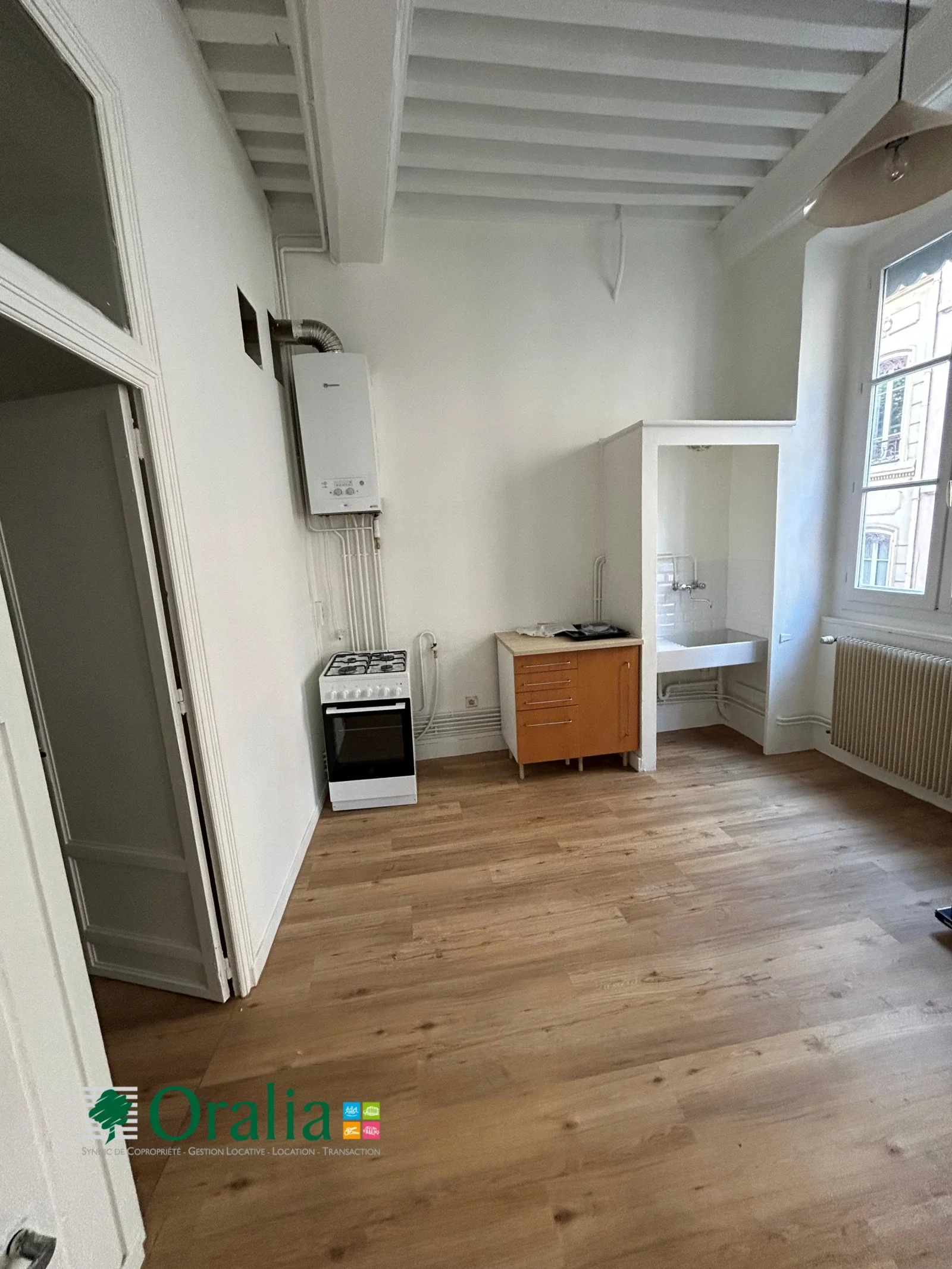 Flat Rue Bellièvre in Lyon