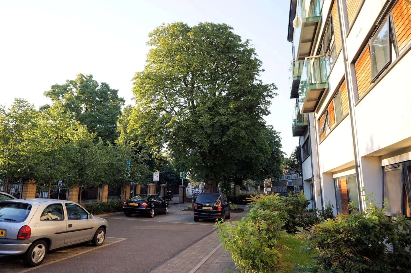 Flat Green Lanes Walk in Greater London