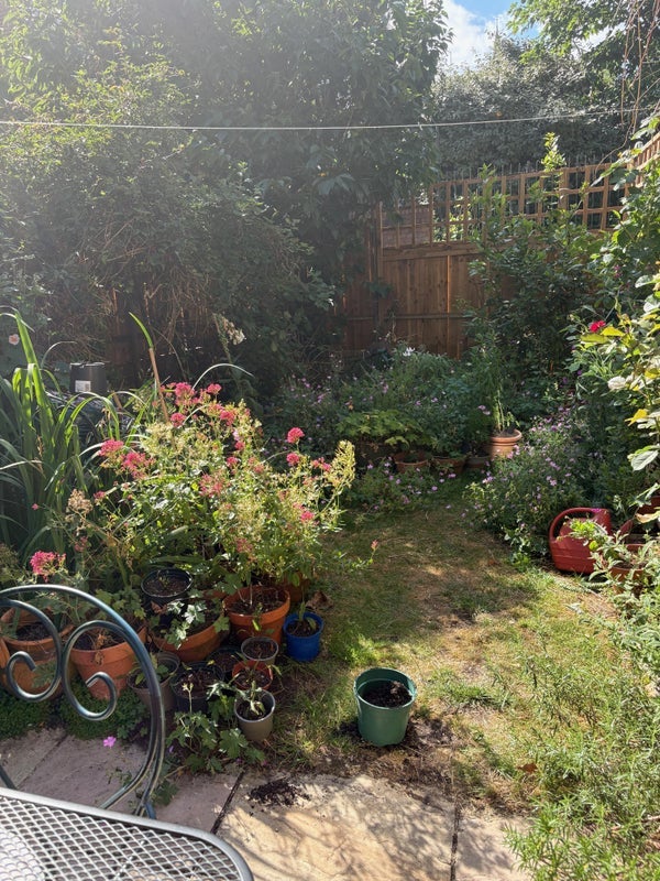 Room Beattock Rise in Greater London